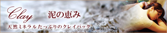 palmのクレイパックメニュー