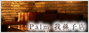 Palm 䑷qX